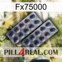 Fx75000 31